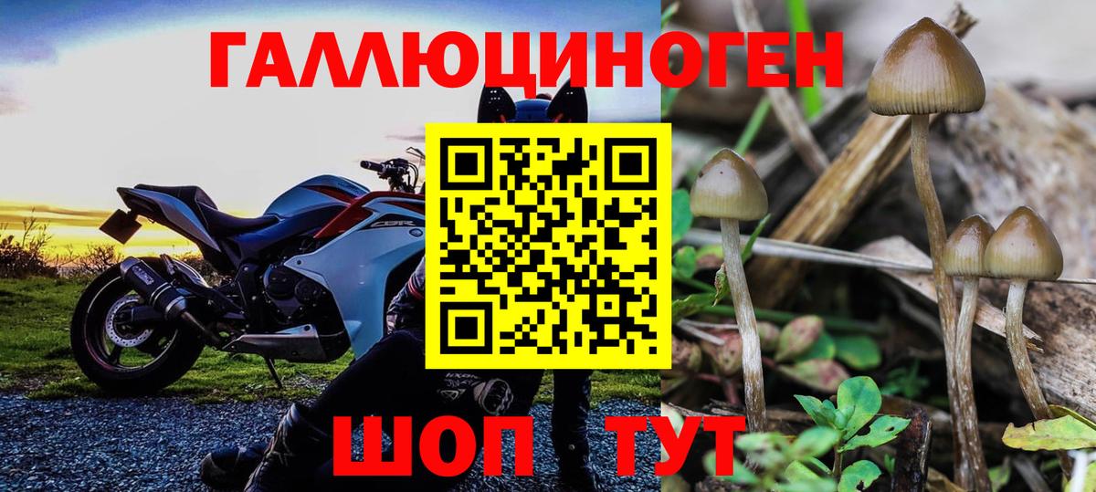 Чистополь  Галлюциногенные грибы прущие грибы  цены наркотик  Вход с VPN 