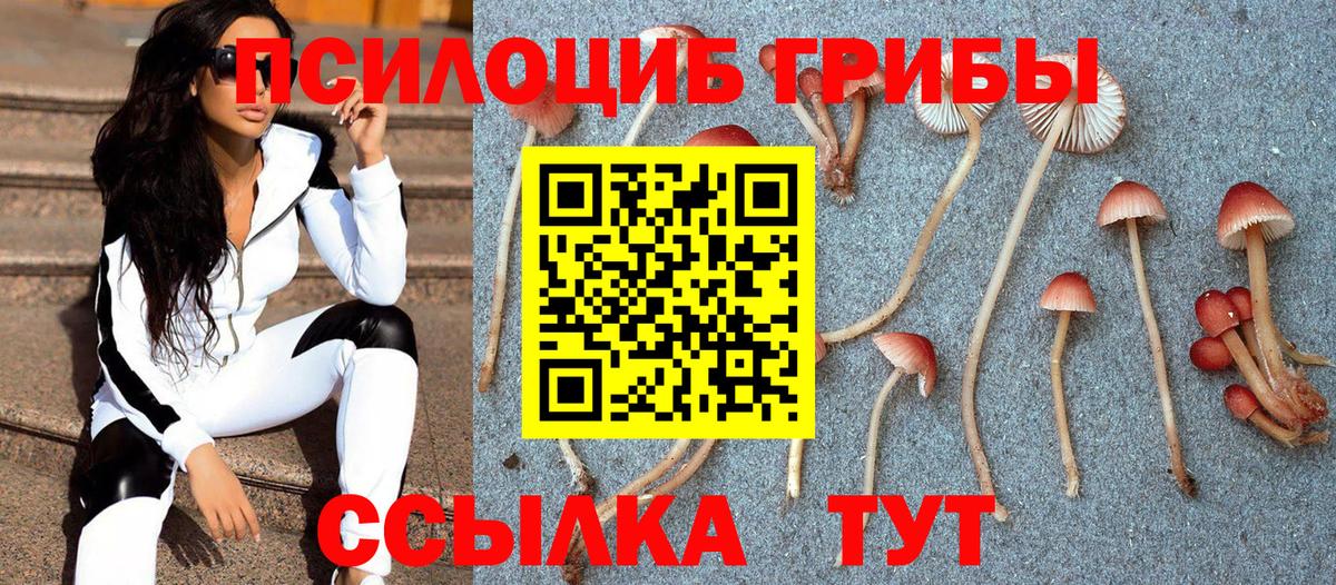 Галлюциногенные грибы мицелий Чистополь
